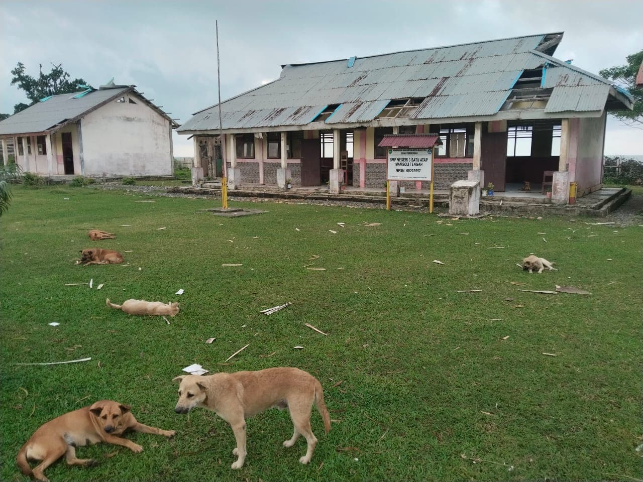 bertahun-tahun-dibiarkan-rusak-aktivis-bongkar-dugaan-pembiaran-sistematis-sekolah-terpencil-di-sula