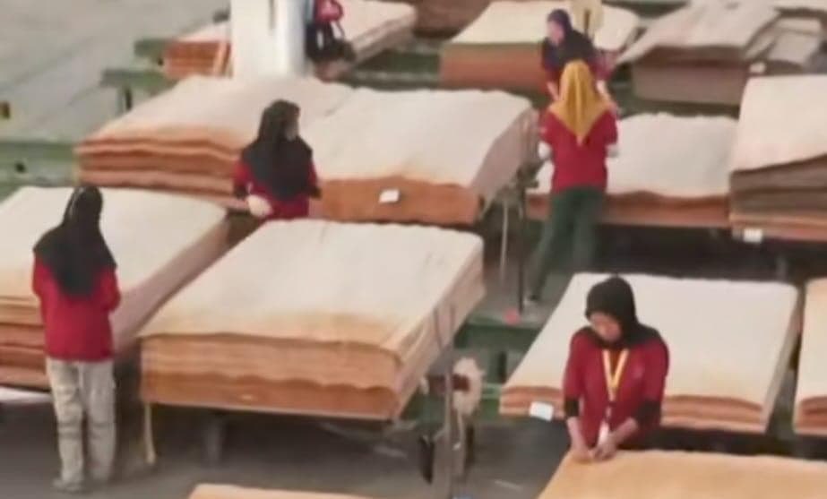 di-balik-besarnya-industri-kayu-pt-sgm-group-dugaan-nihil-fasilitas-kesehatan-untuk-3-000-pekerja
